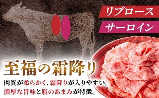 飛騨牛サーロイン・リブロース 400g×1パック すき焼きしゃぶしゃぶ用肉 / すき焼き しゃぶしゃぶ 牛肉