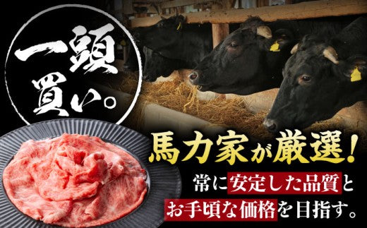 飛騨牛 肩ロース 400g×1パック すき焼きしゃぶしゃぶ用肉 / すき焼き しゃぶしゃぶ 牛肉