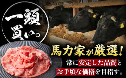 飛騨牛 肩ロース 400g×1パック すき焼きしゃぶしゃぶ用肉 / すき焼き しゃぶしゃぶ 牛肉