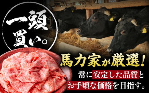 飛騨牛サーロイン・リブロース 400g×1パック すき焼きしゃぶしゃぶ用肉 / すき焼き しゃぶしゃぶ 牛肉