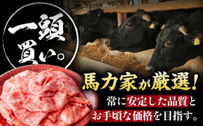 飛騨牛サーロイン・リブロース 400g×1パック すき焼きしゃぶしゃぶ用肉 / すき焼き しゃぶしゃぶ 牛肉